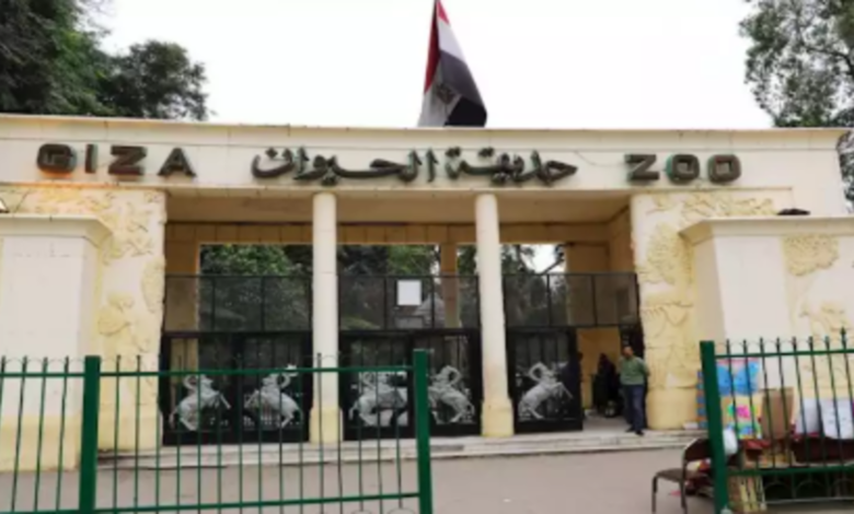 حديقة الحيوان - الجيزة